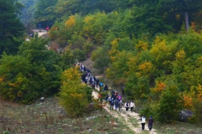Sakaryada doğayla iç içe sonbahar