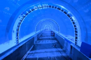 Kocaelide su altı dünyası yakında kapılarını açıyor