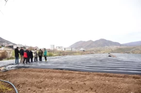 Batman Sasonda çilek üreticilerine ziyaret