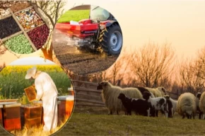 2 milyar TLlik tarımsal destek hesaplarda