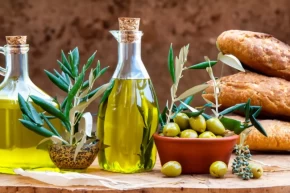 Zeytin ve zeytinyağı sektöründe güçler URGE Projesinde birleşiyor