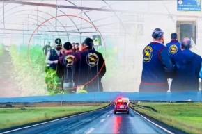 7 yıllık cinayet firarisi serada yakalandı