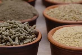 Yem Yönetmeliğinde değişiklik Resmileşti... Gıdadan yeme büyük dönüşüm