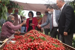 Çeribaşı Kirazına coğrafi işaret tescili