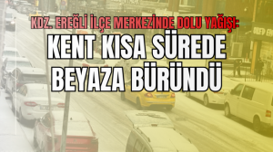 Kdz. Ereğli ilçe merkezinde dolu yağışı etkili oldu