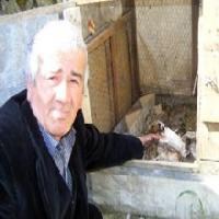 Bıldırcın Katliamı