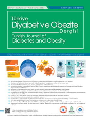 Türkiye Diyabet ve Obezite Dergisinin 2025 Aralık Sayısı Yayımlandı