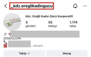 Kdz.Ereğli Kadın Gücü Kooperatifi adına sahte hesap açtılar