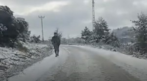 İşte kayıp Mustafa Uçarın son görüntüsü