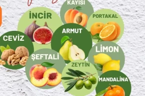 Muğla Milasta üreticilere fidan desteği sağlanacak