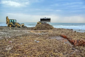 Mersin sahillerinde selin izleri siliniyor