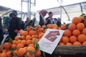 Sivasta pazar desteğinin kapsamı genişletiledi