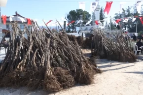 Üreticilere balık yemi desteği