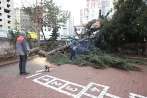 Kayseri Melikgazi de rüzgar kabusu