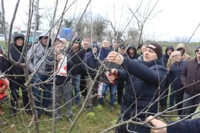 İzmitte üreticilere uygulamalı budama eğitimi