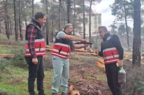 Hatayda mücbir ağaç kesimlerine Tabiatı Korumadan açıklama