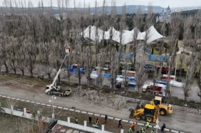 Eskişehir Büyükşehirden ağaçlara gençleştirme çalışması