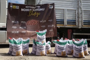 Konya az su isteyen ürünleri yaygınlaştırıyor... Yüzde 50 hibeli nohut tohumları dağıtılıyor