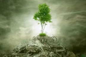 ÇED gerekli değil kararı kaldırıldı Yönetmelikle süreçler değişti