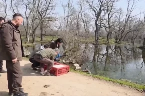 Bursa Karacabeyde yaban hayata özgürlük