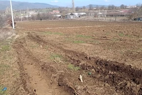 Pazaryerinde yüksek gerilim tarım arazilerini zora soktu