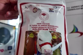 Uşakta Türkiyenin ilk dondurarak kurutma kolostrom tesisi kuruldu... Hayvancılıkta yenilikçi adım hayata geçti