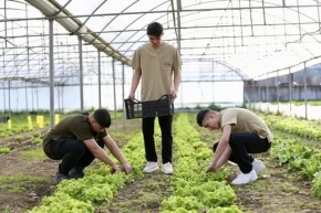 Bursada liselilerden Tarladan Tabağa iftar sofrası