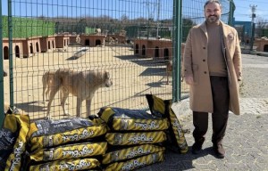 Tazminat parasıyla köpeklere mama aldı