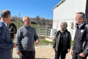 Bilecik Pazaryerinde tarım ve hayvancılık faaliyetlerine Müdür Ayvalıktan yerinde inceleme