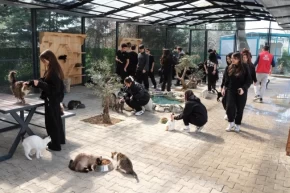 Bursa Yıldırımda gençlerden patili dostlara sevgi ziyareti