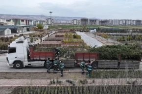 Kayseri Kocasinandan ağaç dikme rekoru