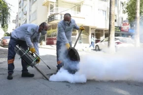 Mersinde haşere alarmı