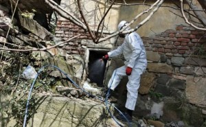 Kdz.Ereğli Belediyesi zararlı vektörlere karşı ilaçlama çalışması başlattı