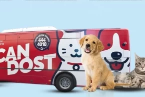 Balıkesirde patili canlara mobil sağlık hizmeti