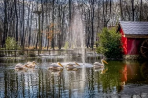 Kocaelide Ormanya ve Kuzuyayla ziyaretçilere hazır