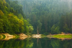 Doğa Koruma ve Milli Parklarda yeni dönem... Yetkiler artırıldı, cezalar yükseltildi