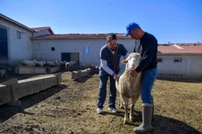 ABBden kırsala veterinerlik hizmeti
