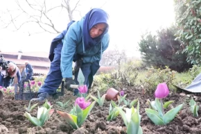 Bursa Osmangazinin her bir noktası çiçek açtı