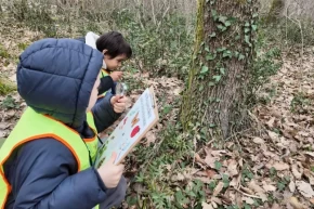 Lokomotifin minikleri Ormanyada keşfetti