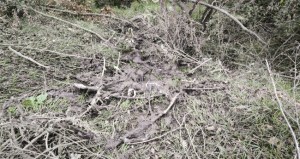 Zonguldak Ereğlide su kirliliği iddiası büyüyor: Ketenciler Cariyeli Mahallesinde tedirginlik