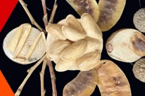 İzmit Oyuncak Müzesinde yaratıcı atölyeler sürüyor