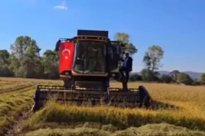 İstanbulda yeni üretim sezonu için tohum ve fideler hazır