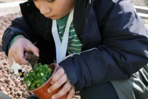 İstanbul Maltepede tarım parkı minikleri ağırladı