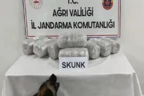 Ağrıda 10 kilogram skunk ele geçirildi
