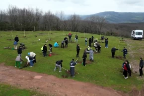 Kocaelide fidanlar engelsiz hayat için dikildi