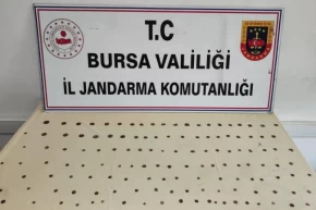 Mudanya Bademlide tarihi eser operasyonu: 2 gözaltı