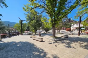 Sakarya Taraklıda tarihi çınar yeniden hayat buluyor