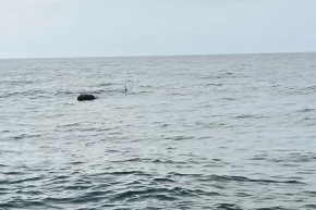 Karadenizdeki şüpheli mayın SAS timlerince imha edildi