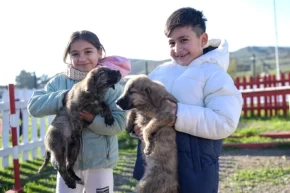 Doğa ve patili dostlar İzmirde şifa dağıtıyor