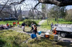 İzmir Bornovada Kedili Park yeniden güvenli hale geldi